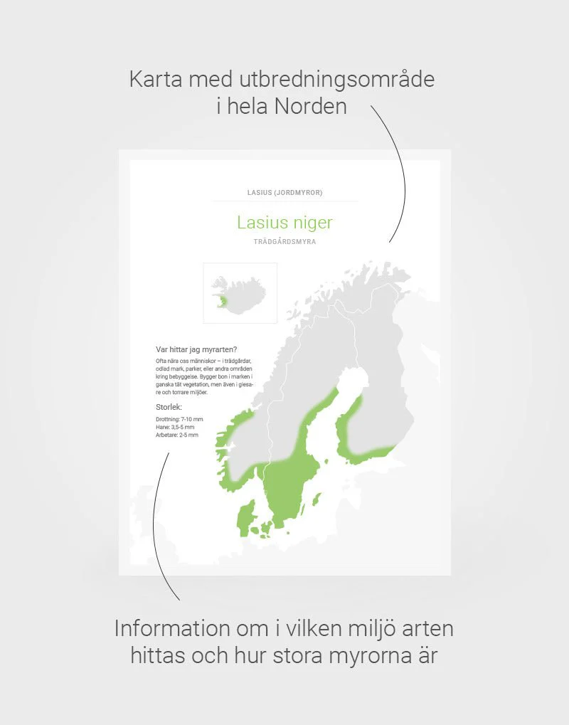 Nordens myrkartor (pdf) - Image 3